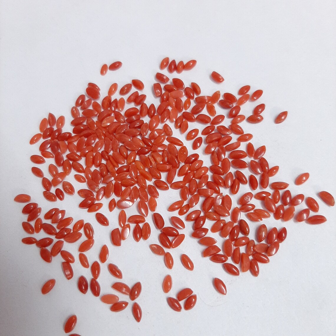 2.5x5MM, 3x6MM, 4x8MM Natural Italian Coral Marquise Cabochon Gemstone, AAA Red Coral Smooth Marquise Flat Back Gemstone For Jewelry