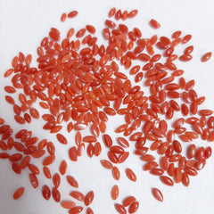 2.5x5MM, 3x6MM, 4x8MM Natural Italian Coral Marquise Cabochon Gemstone, AAA Red Coral Smooth Marquise Flat Back Gemstone For Jewelry